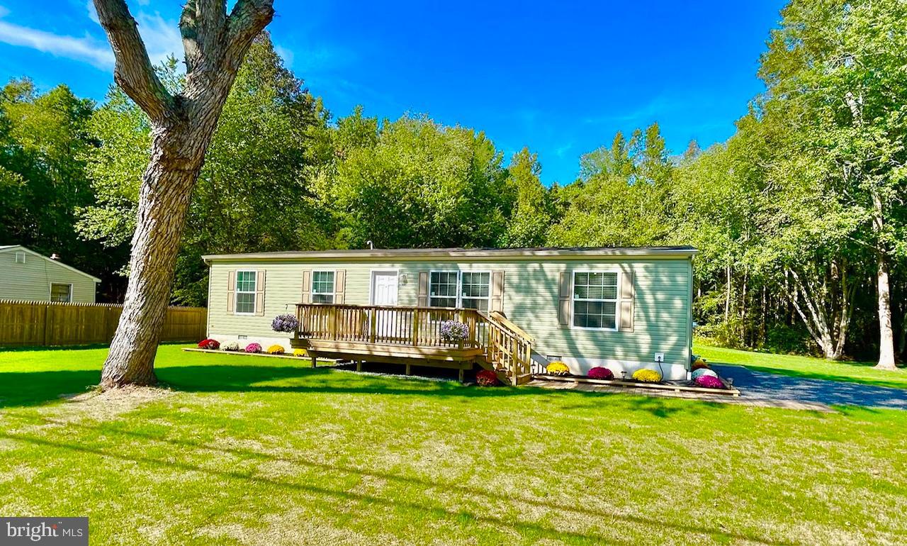 7086 James Moore Road Port Norris, NJ 08349 - Photo 19 of 22 a view of a house with backyard and a tree