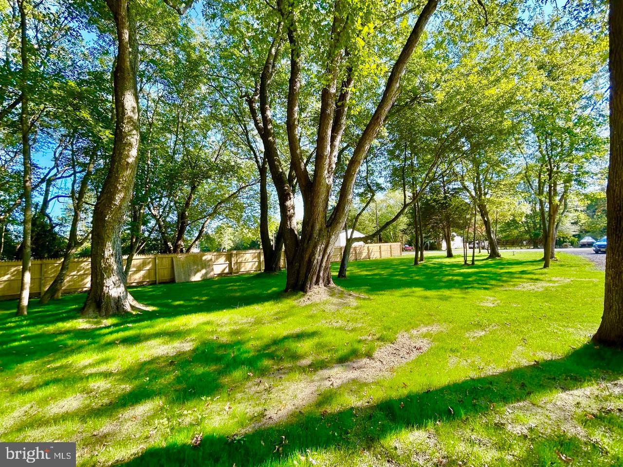 7086 James Moore Road Port Norris, NJ 08349 - Photo 22 of 22 a backyard of a house with lots of green space and trees