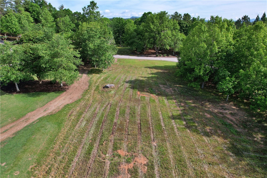 242 Long Cove Court Sunset, SC 29685 - Photo 13 of 21
