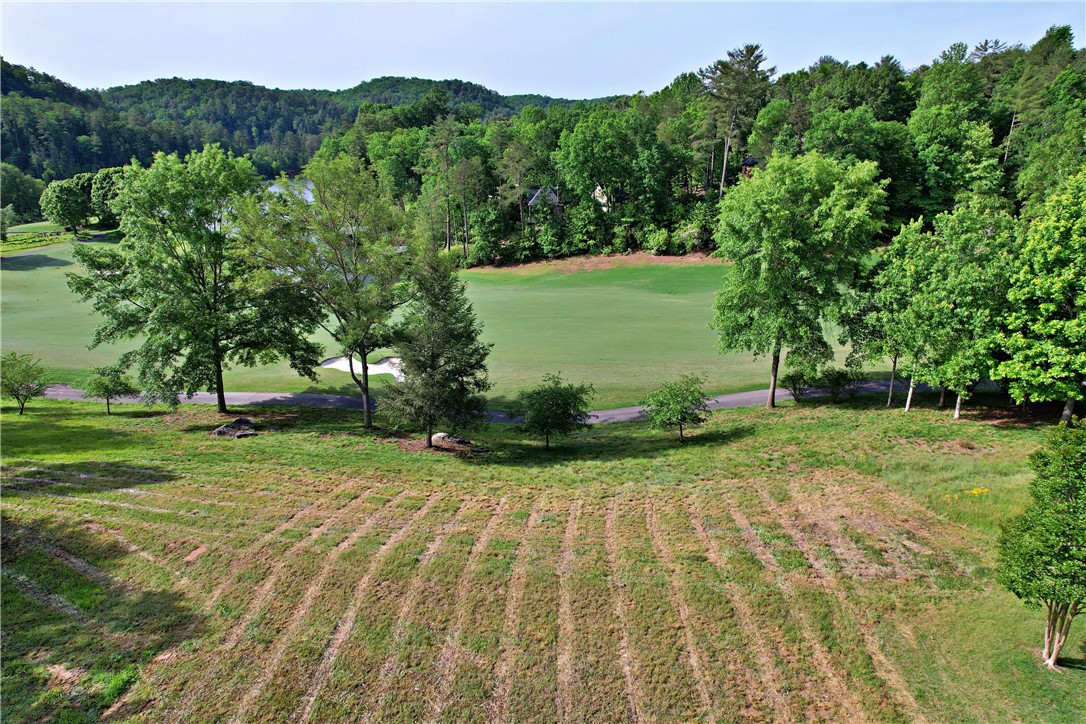 242 Long Cove Court Sunset, SC 29685 - Photo 14 of 21
