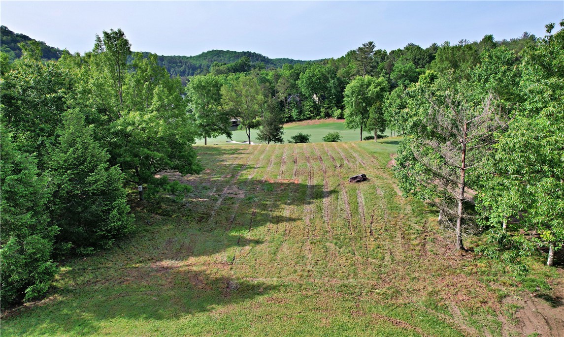 242 Long Cove Court Sunset, SC 29685 - Photo 15 of 21