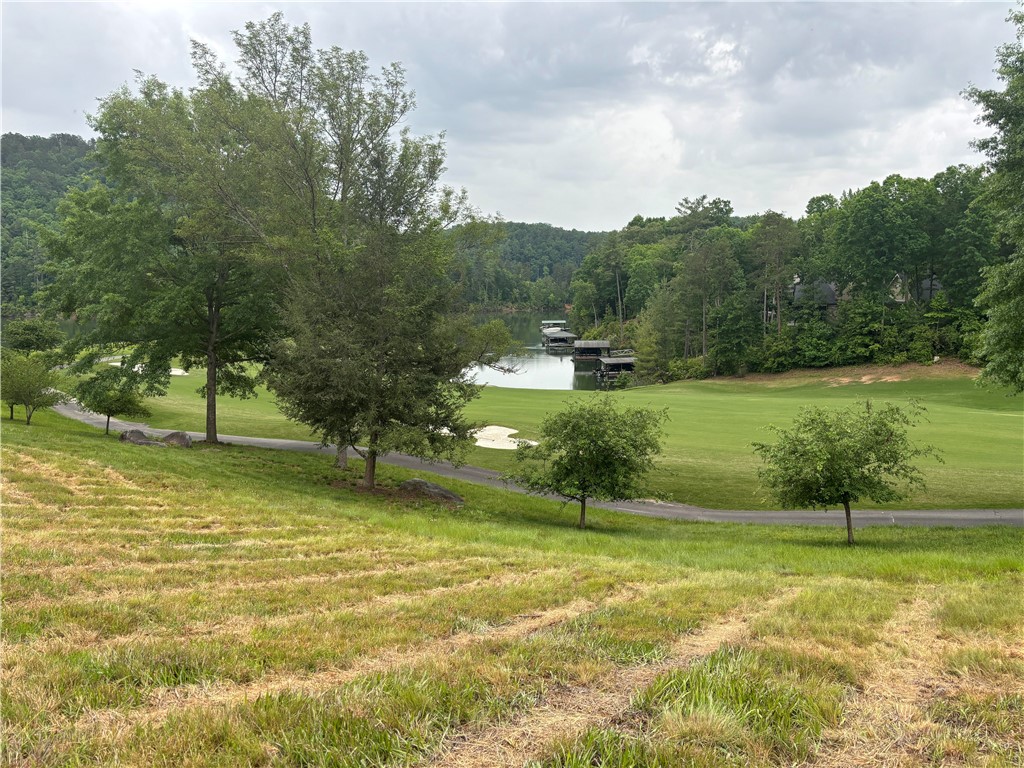 242 Long Cove Court Sunset, SC 29685 - Photo 10 of 21