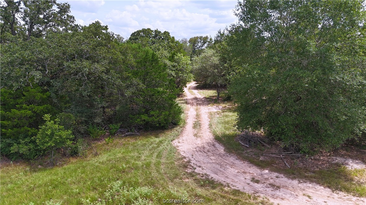 8 & 13) Road Paige, TX 78659 - Photo 18 of 22 Gallery Image 18
