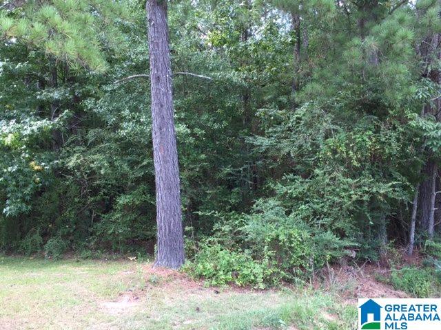 3505 Spring Valley Road Anniston, AL 36207 - Photo 23 of 45