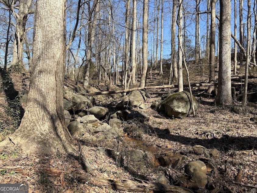 0 Unawatti Road Canon, GA 30520 - Photo 11 of 17