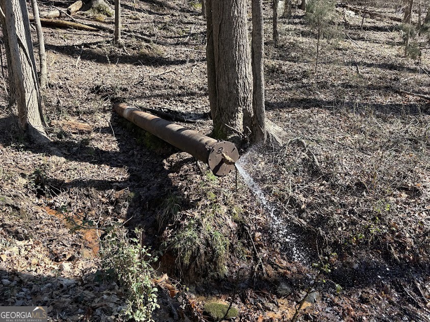 0 Unawatti Road Canon, GA 30520 - Photo 13 of 17