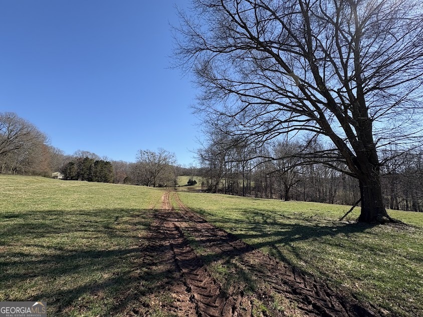 0 Unawatti Road Canon, GA 30520 - Photo 15 of 17