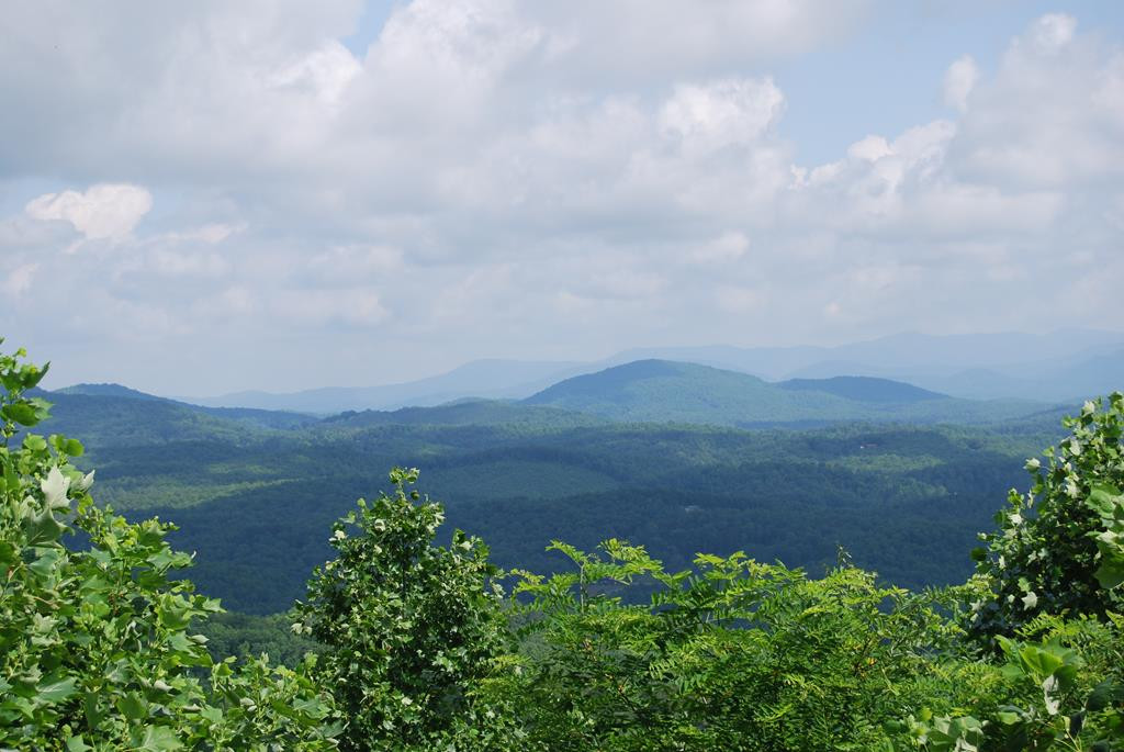 1013 Buck Ridge Drive Murphy, NC 28906 - Photo 4 of 42