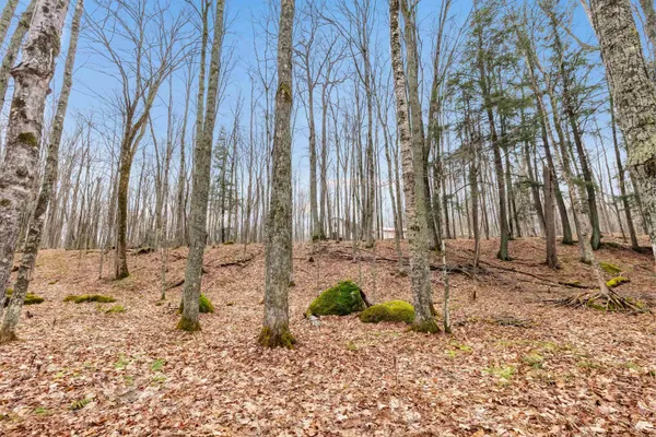 $374,900 | 14684 Buckshot Lane, Lakewood, WI 54138