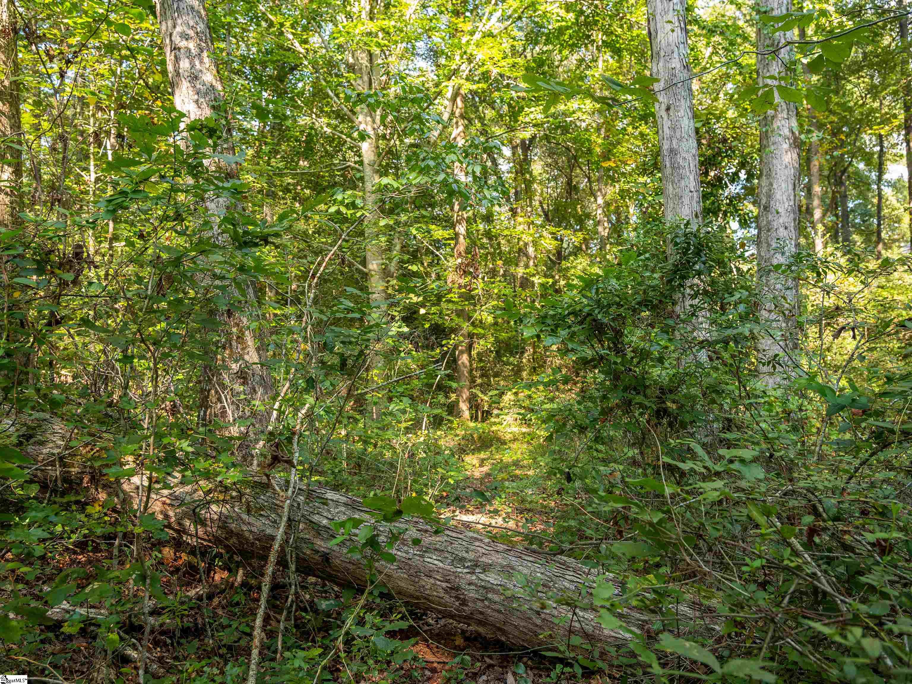 Gibson Road, Unit 1 Anderson, SC 29625 - Photo 15 of 20