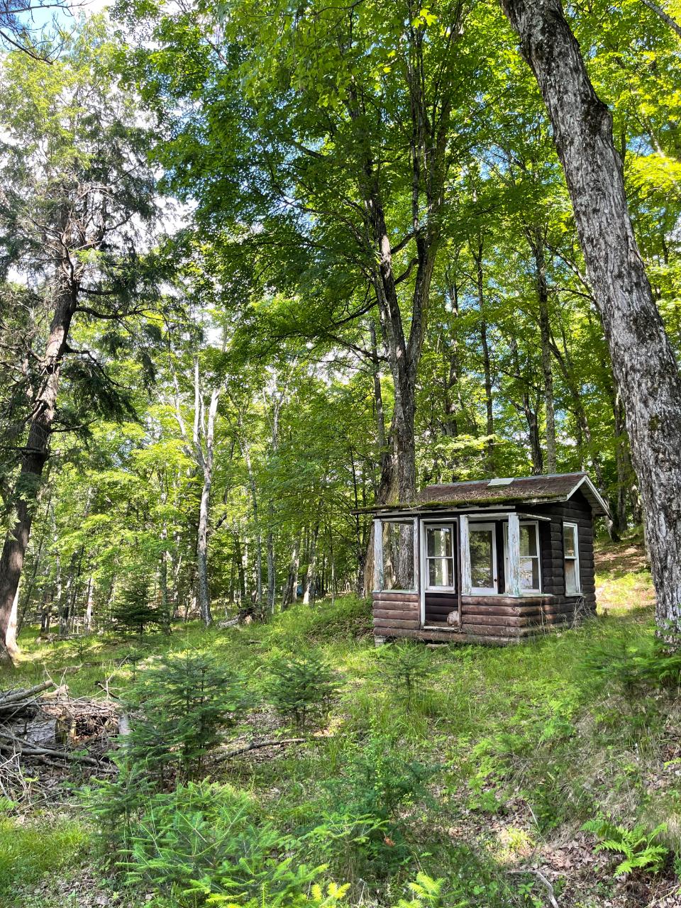 19290 Fish Hawk Lake Road Watersmeet, MI 49969 - Photo 7 of 7 Gallery Image 7