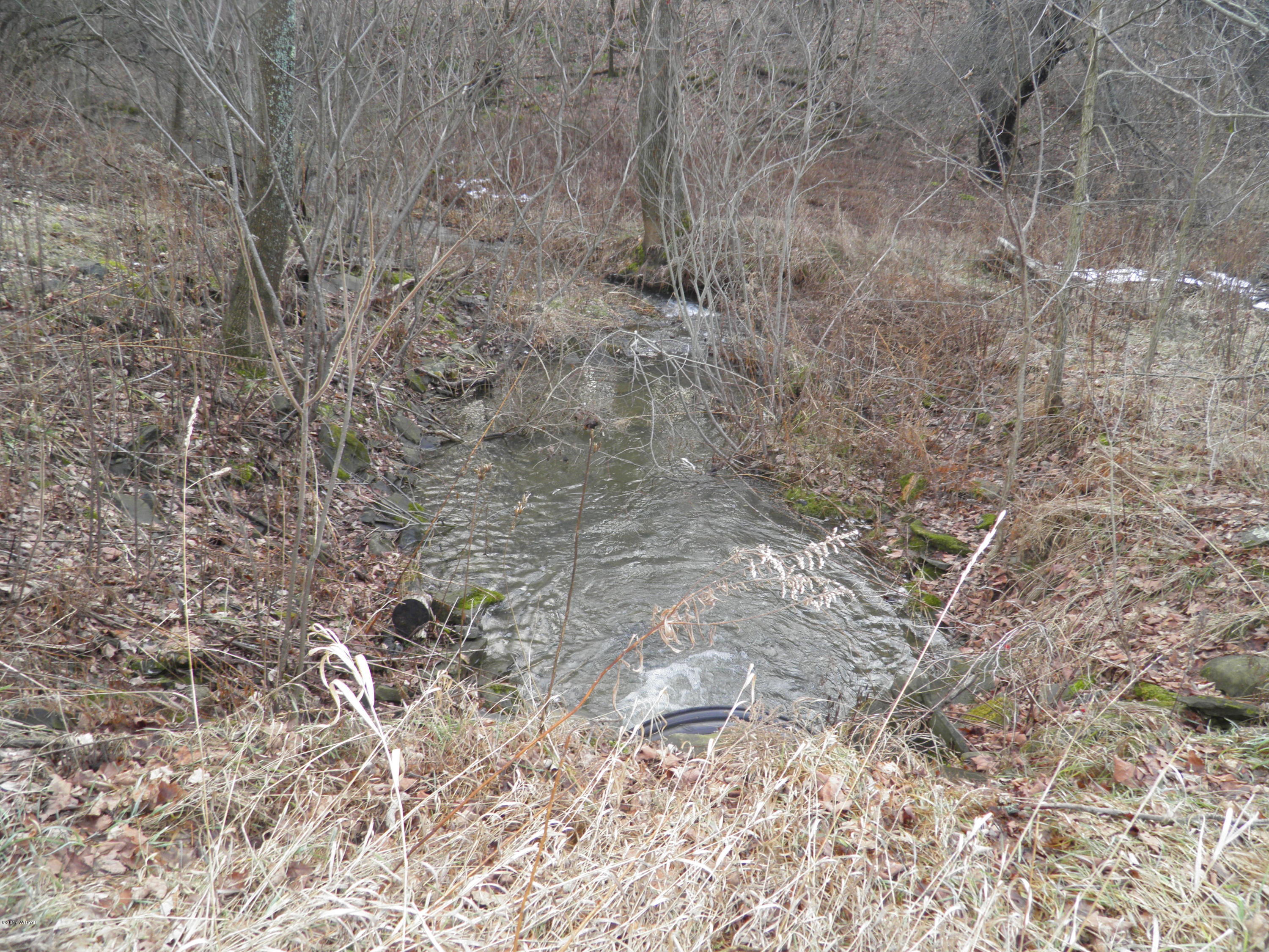 1311 Congdon Road Gillett, PA 16925 - Photo 25 of 25 P1211714