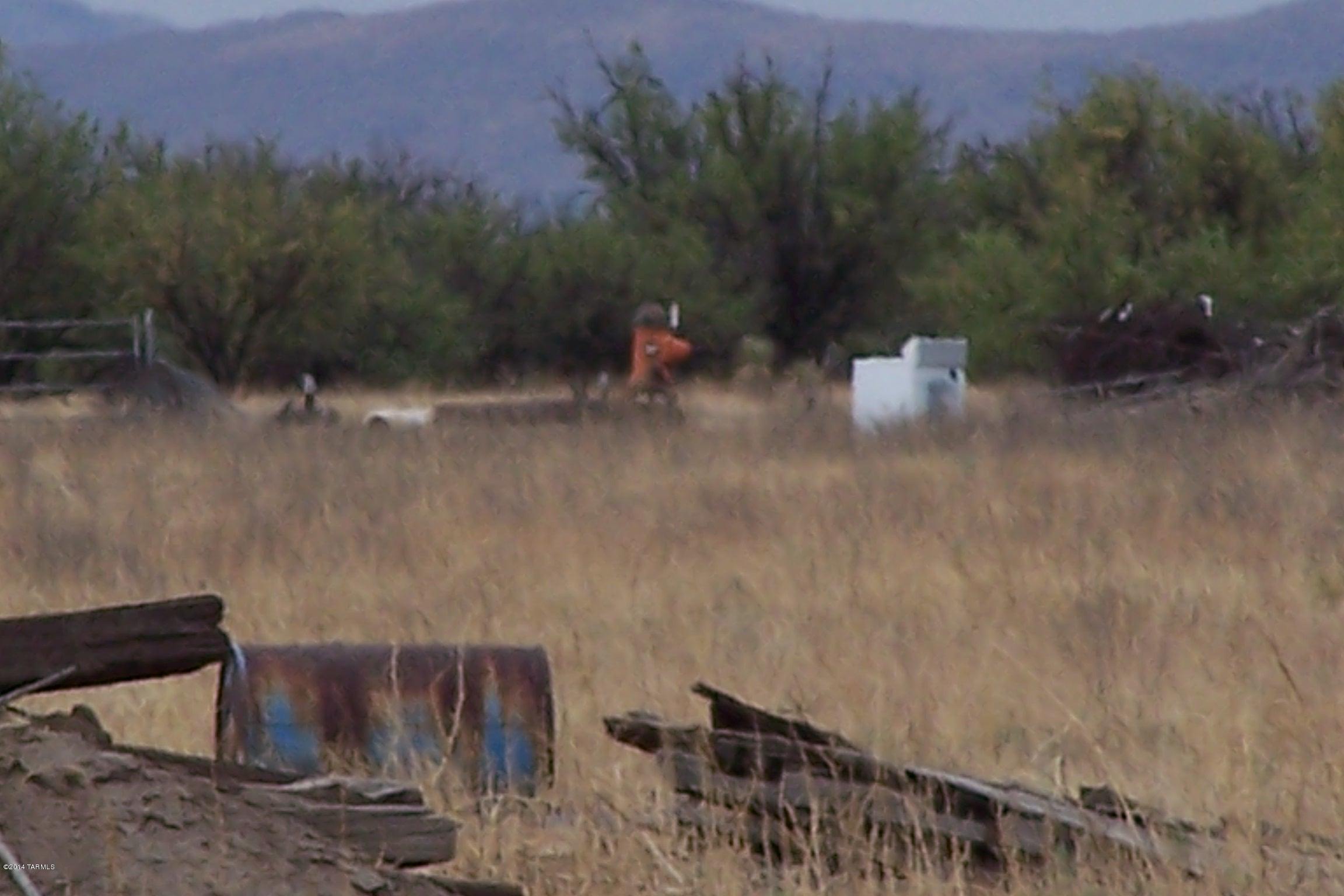 8405 South Anderson Road Willcox, AZ 85643 - Photo 34 of 37