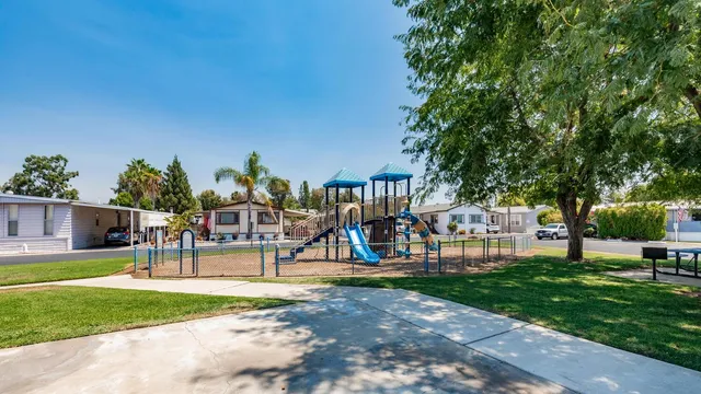 a view of a park with large trees
