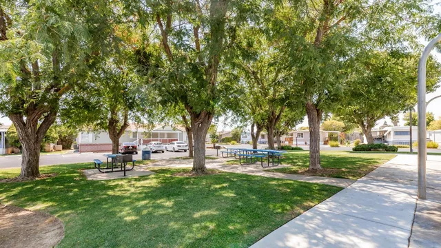 a view of a park with bench and trees