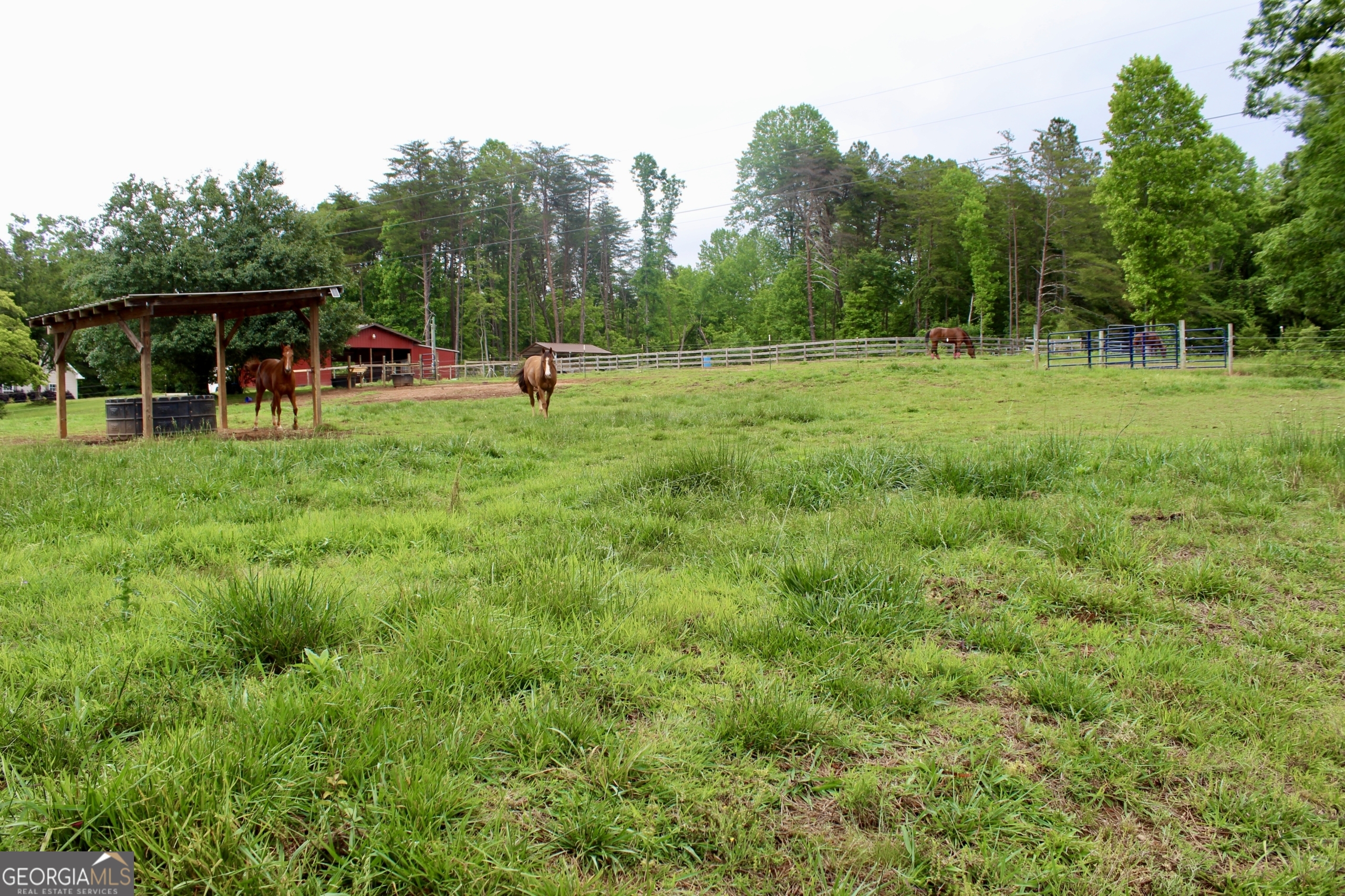 2570 Castleberry Bridge Road Dawsonville, GA 30534 - Photo 44 of 46