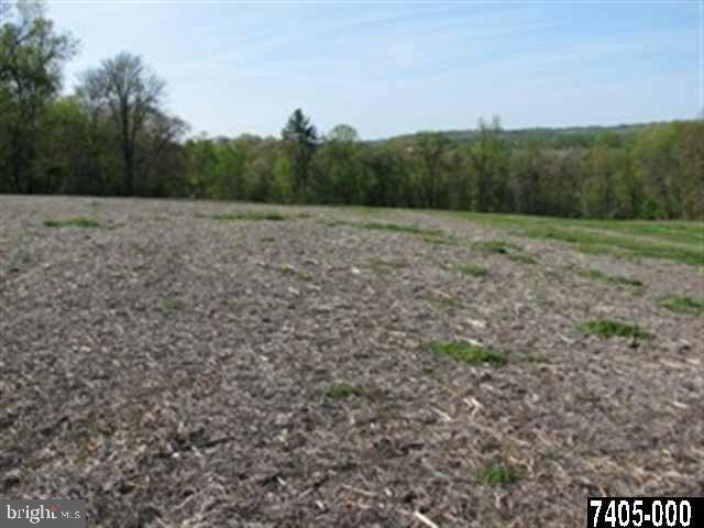 0 Gum Tree Road Brogue, PA 17309 - Photo 3 of 8 Gallery Image 3