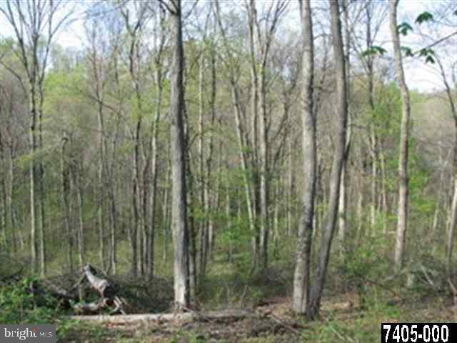 0 Gum Tree Road Brogue, PA 17309 - Photo 6 of 8 Gallery Image 6