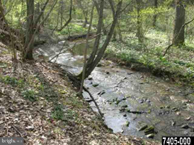 0 Gum Tree Road Brogue, PA 17309 - Photo 7 of 8 Gallery Image 7