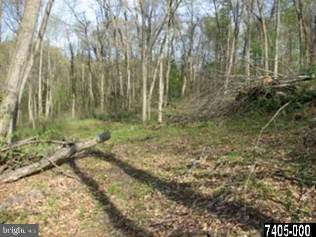 0 Gum Tree Road Brogue, PA 17309 - Photo 8 of 8 Gallery Image 8