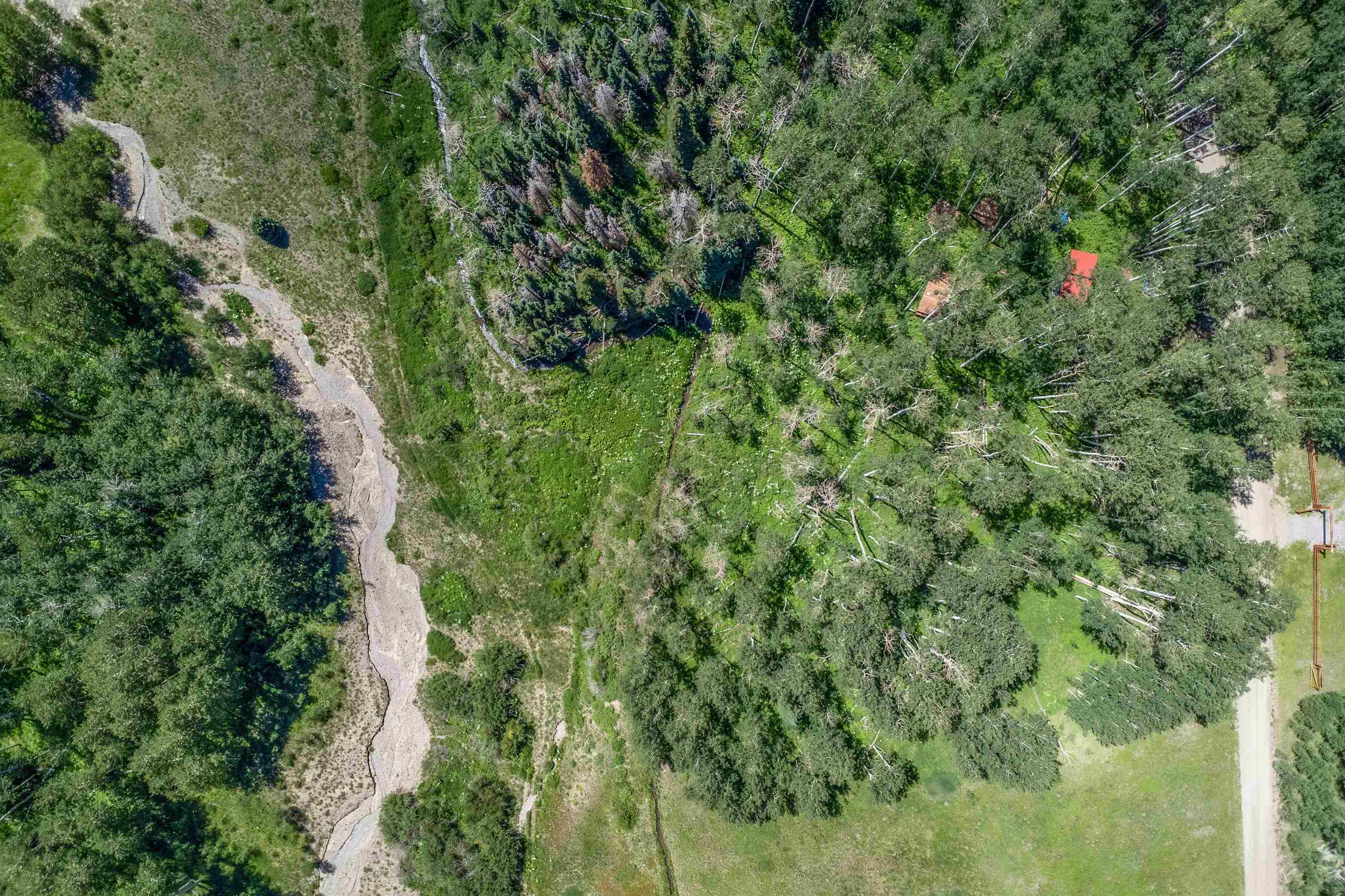 3170 San Juan Vista Road Placerville, CO 81430 - Photo 41 of 41
