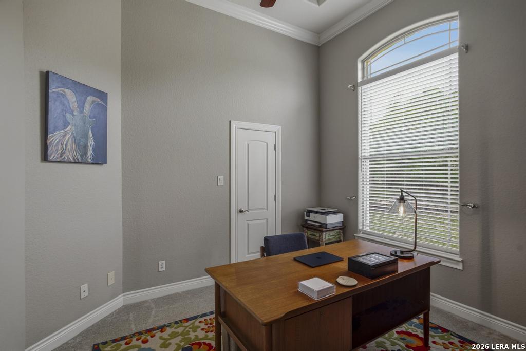 101 Shady Ridge Drive Boerne, TX 78006 - Photo 33 of 35