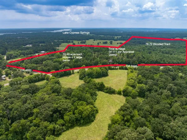 a view of a flower in a garden