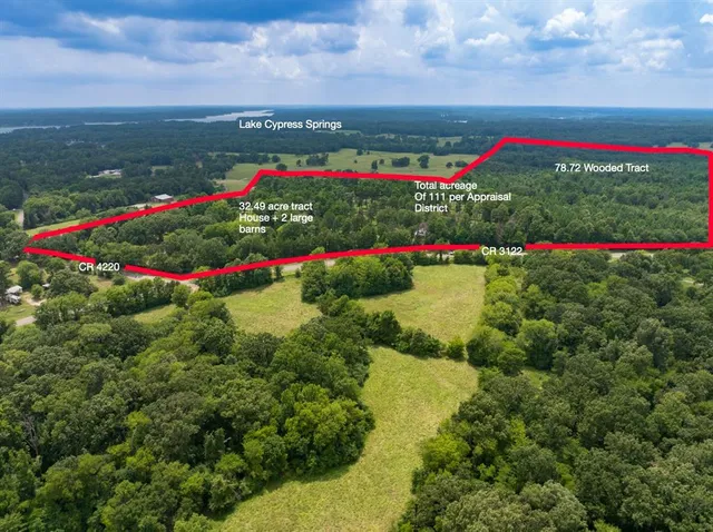 a view of a flower in a garden