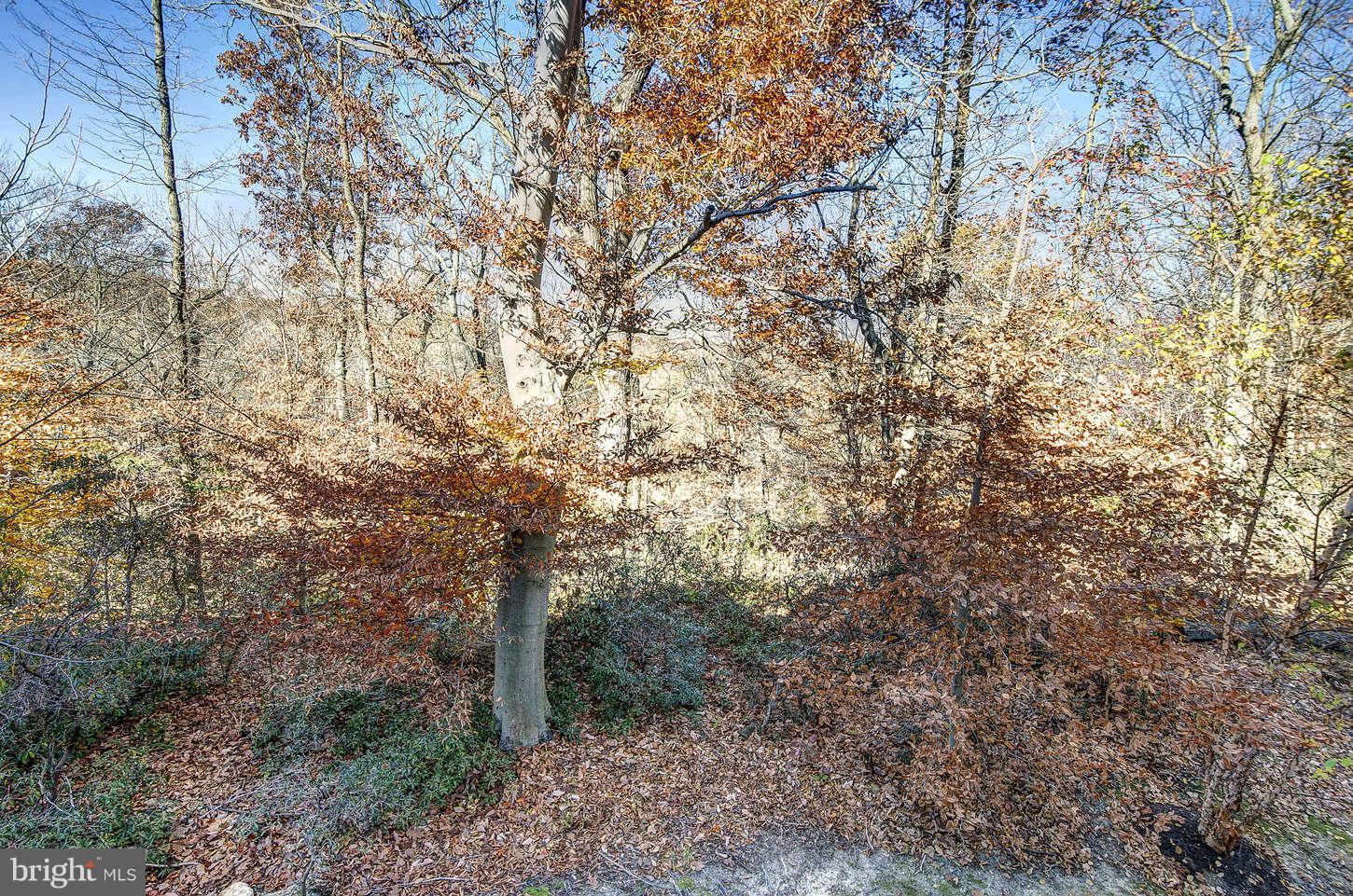 8122 Mississippi Road Laurel, MD 20724 - Photo 29 of 30 View