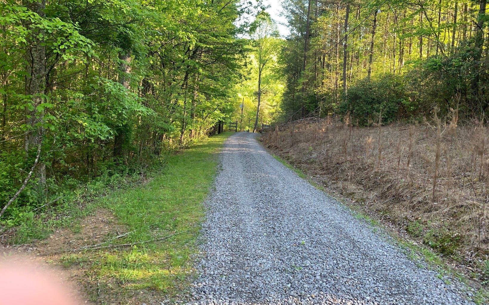 Lot #4 Hunter Vly Road Murphy, NC 28906 - Photo 1 of 14 Main View