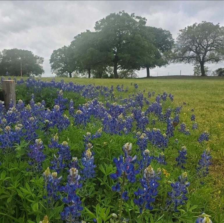 1500 County Road 404 Comanche, TX 76442 - Photo 34 of 39 a view of a lush green field