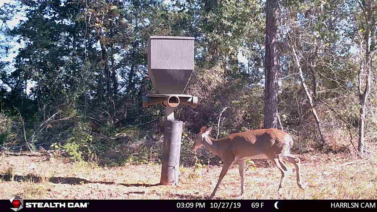 65-ac Straughn School Road Andalusia, AL 36421 - Photo 46 of 47 Gallery Image 46