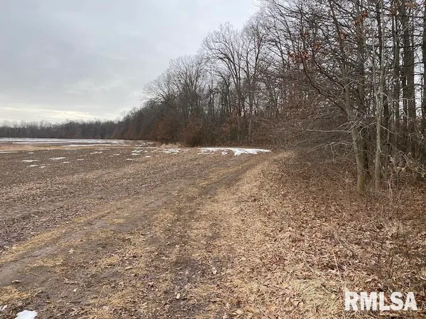 $158,400 | 0 Th, Casey, IL 62420