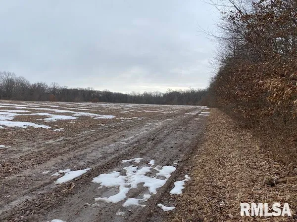 $158,400 | 0 Th, Casey, IL 62420