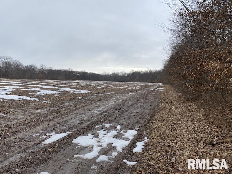 0 Th Casey, IL 62420 - Photo 22 of 55