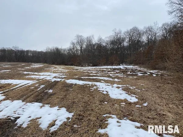 $158,400 | 0 Th, Casey, IL 62420