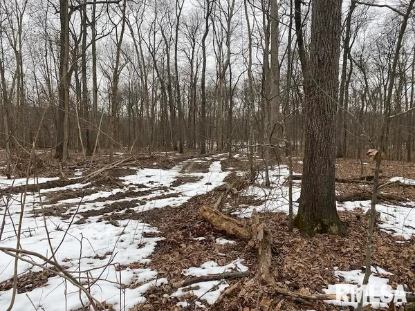 $158,400 | 0 Th, Casey, IL 62420