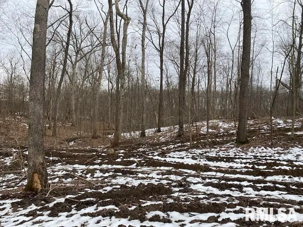 $158,400 | 0 Th, Casey, IL 62420