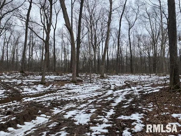 $158,400 | 0 Th, Casey, IL 62420