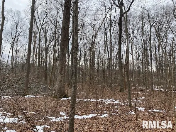 $158,400 | 0 Th, Casey, IL 62420