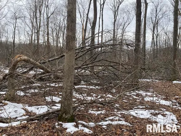 $158,400 | 0 Th, Casey, IL 62420