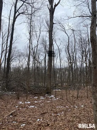 $158,400 | 0 Th, Casey, IL 62420