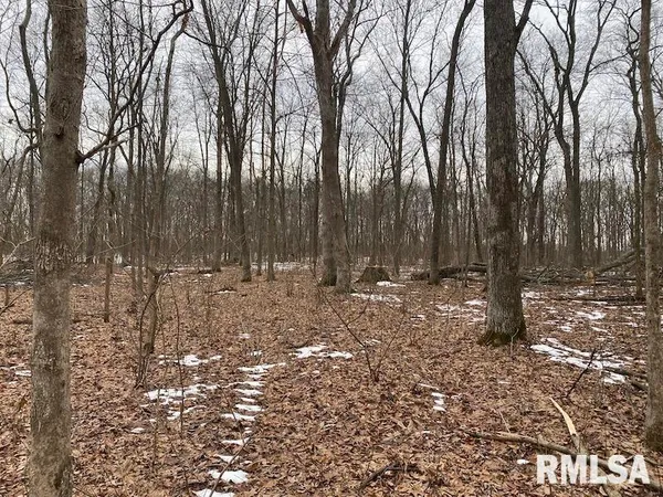 $158,400 | 0 Th, Casey, IL 62420