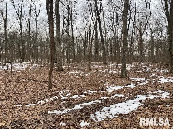 $158,400 | 0 Th, Casey, IL 62420