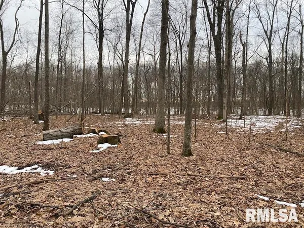 $158,400 | 0 Th, Casey, IL 62420