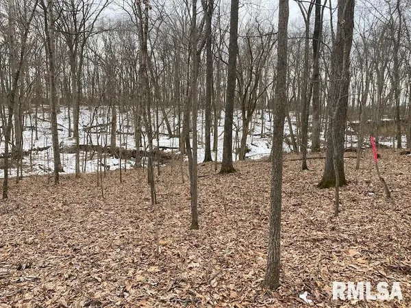 $158,400 | 0 Th, Casey, IL 62420