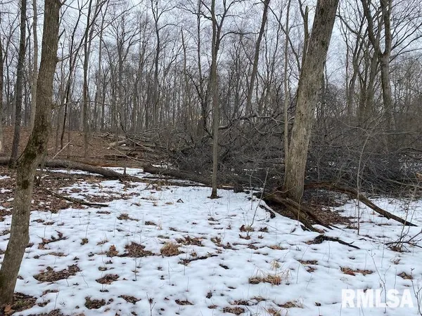 $158,400 | 0 Th, Casey, IL 62420