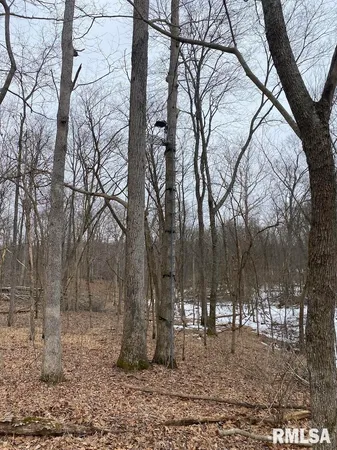 $158,400 | 0 Th, Casey, IL 62420