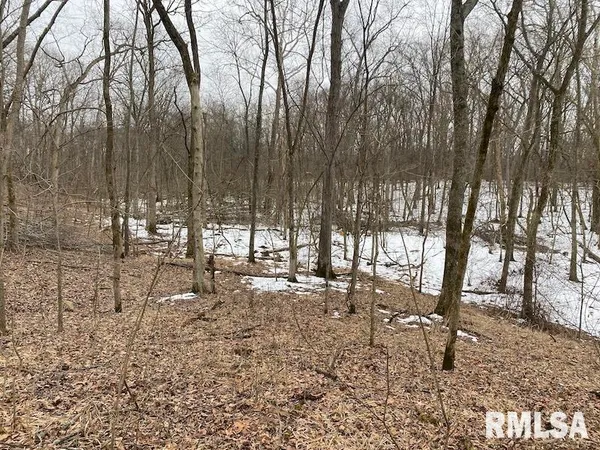 $158,400 | 0 Th, Casey, IL 62420