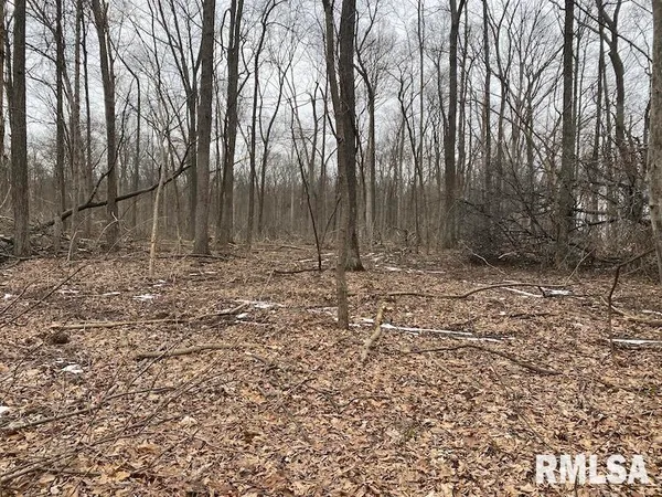 $158,400 | 0 Th, Casey, IL 62420